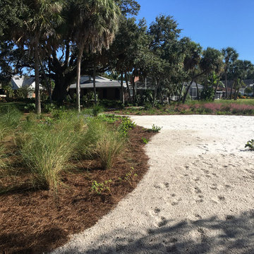 Coastal Backyard Garden