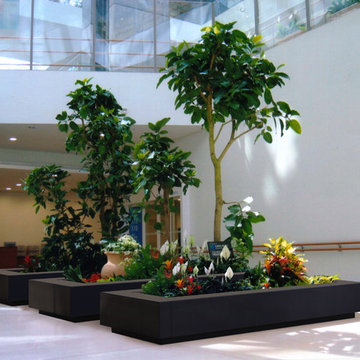 Krete Planter (L96" X W40" X H16")