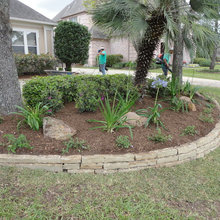 Borders around tree
