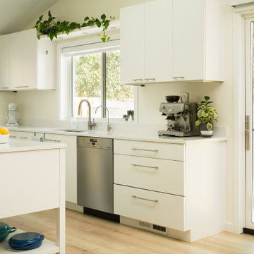 1950s Ranch - Whole House Remodel