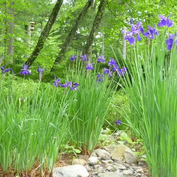 Catskill Mountain Project