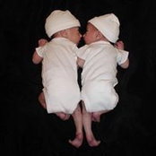 Julie Long's photo
