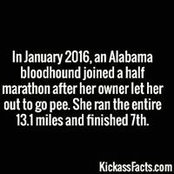 Jake Albert's photo