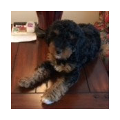 Nancy's photo