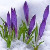Foto de Lori Jo Bean