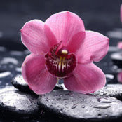 Esther lugo's photo