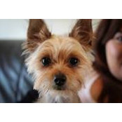 Jenny Ta's photo
