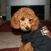 Lisa Faye Walseth's photo