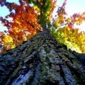 Sandra Bugeja's photo