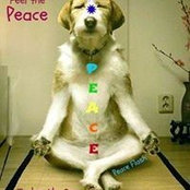 Pam Sims Tackett's photo