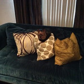 Pooh Bear's photo