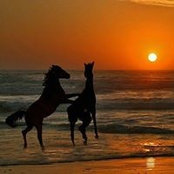 Patricia Boeck's photo