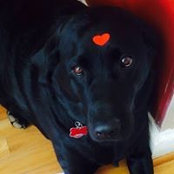 Sandy Havens's photo