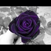 Tawnya Pelfrey's photo