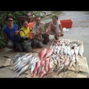 Han Mua's photo