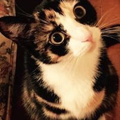 Sharell Moore's photo