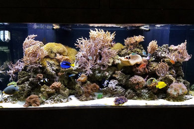 210 Gal Reef aquarium