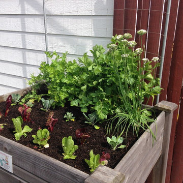 Vegetable & Herb Gardens