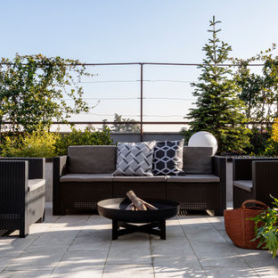 Esempio di una grande terrazza design sul tetto con un giardino in vaso