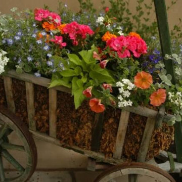 Our Work