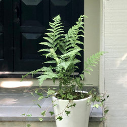 North Stamford - Plants