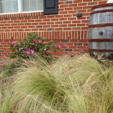Perennial Planting