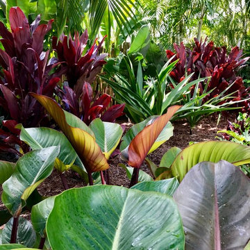 Pool Landscaping: North Palm Beach, FL