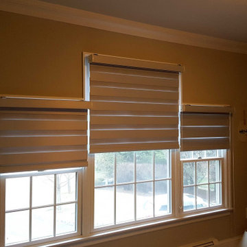 Springblinds Premium Zebra Dual Sheer Shades