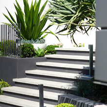 Garden Bed