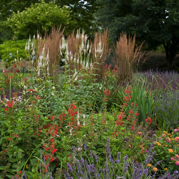 Deer Resistant Garden