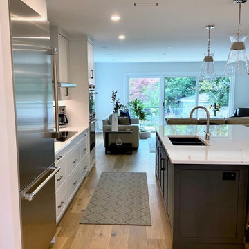 Glen Park Contemporary