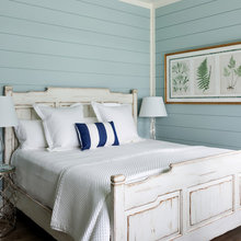Paints, Trims, & Finishes