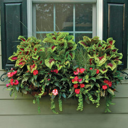 44" Window Box Planter - Outdoor Decor