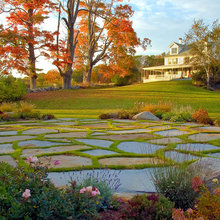 Landscape Ideas