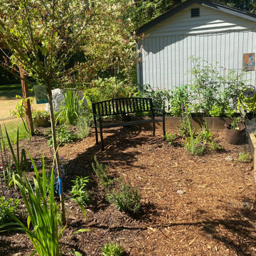 Veggie Garden Makeover