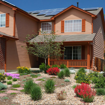 Lawn Alternatives