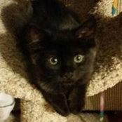 Sarah Jane Thompson's photo