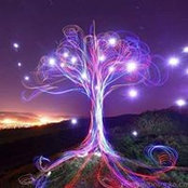 Michael Bosanko's photo