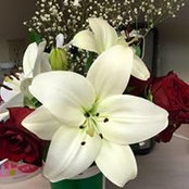 Christina De Burgo's photo