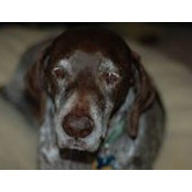 Patty Paulsen's photo