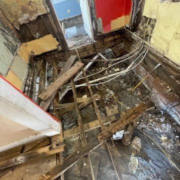 Termite Damage Is at it Again