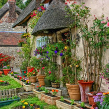 English Cottage Garden