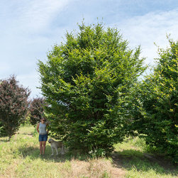 Farms - Gardening And Lawn Care