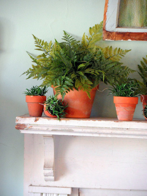 Potted Ferns Ideas, Pictures, Remodel and Decor