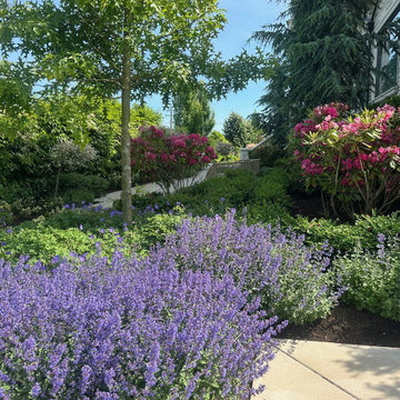 A French Themed Garden