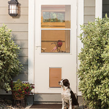 Dog Doors