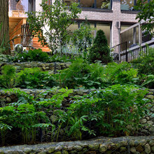toronto contemporary