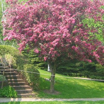 Protect your Beautiful Fruit Trees