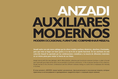 ANZADI Catalogue AUXILIARES MODERNOS