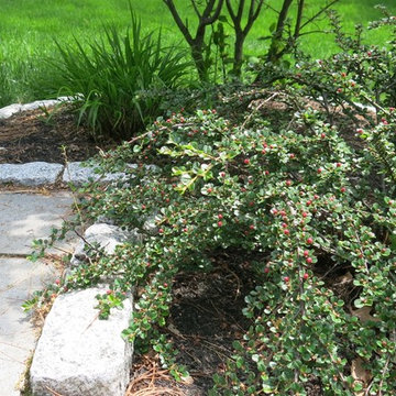 Gardens & walkways in North Andover, MA